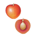 Plum
