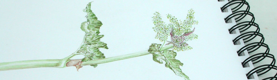 Slideshow Image 4
